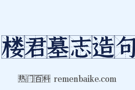 楼君墓志造句是什么意思的图片